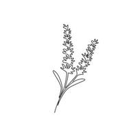 desenho de linha contínua única de lavandula fresca de beleza para decoração de parede de casa impressão de pôster. flor de lavanda decorativa para impressão para cartão de convite. ilustração em vetor desenho desenho de uma linha na moda