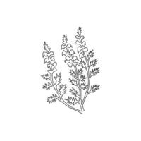 um desenho de linha contínuo de beleza fresca urze comum para impressão de pôster de arte de parede de decoração de casa. flor calluna vulgaris decorativa para cartão de convite. ilustração em vetor desenho desenho de linha única