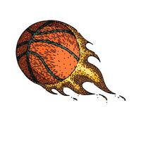 cesta basquetebol bola esboço mão desenhado vetor