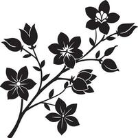 sakura ramo com flores e folhas. Preto e branco ilustração. vetor