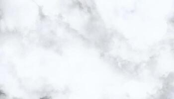 abstrato branco fundo. fundo com nuvens. monocromático cinzento branco aquarela. vetor