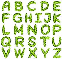 Alfabeto design em folhas verdes vetor