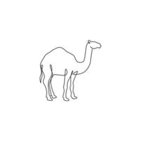 um único desenho de linha de forte camelo árabe do deserto para a identidade do logotipo. conceito de animal mamífero bonito para ícone de criação de gado. linha contínua moderna desenhar ilustração vetorial de design gráfico vetor