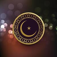 eid Mubarak cartão com lua e Estrela decoração vetor