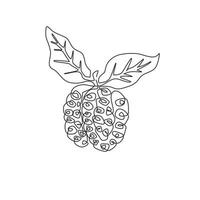 um único desenho de linha de noni orgânico inteiro saudável para identidade do logotipo de pomar. conceito de frutas tropicais frescas para ícone de jardim de frutas. ilustração em vetor gráfico design moderno linha contínua
