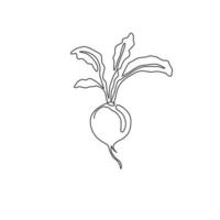 um único desenho de linha de rabanete vermelho orgânico saudável inteiro para a identidade do logotipo da fazenda. conceito de colheita fresca para o ícone de raiz vegetal comestível. ilustração gráfica do vetor moderno desenho linha contínua