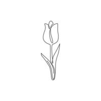 uma linha contínua de desenho de tulipa fresca de beleza para logotipo. para impressão decorativo holandês nacionalidade flor conceito home decoração da parede arte do pôster. ilustração gráfica de vetor moderno desenho de linha única