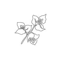 um único desenho de linha de beleza fresca bougainville para poster de decoração de parede. conceito de flor decorativa para impressão para ornamento de cartão. ilustração em vetor desenho moderno linha contínua