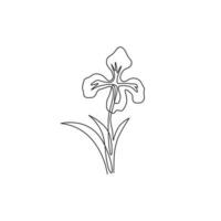 um único desenho de linha de plantas perenes frescas de beleza para o logotipo do jardim. conceito de flor de íris decorativa imprimível para impressão de pôster de arte de parede de decoração de casa. ilustração em vetor desenho desenho em linha contínua