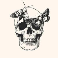 mão desenhado humano crânio cabeça borboleta e mariposa. monocromático Preto e branco esboço para vintage tatuagem, t camisa imprimir, adesivo. ilustração isolado em fundo vetor