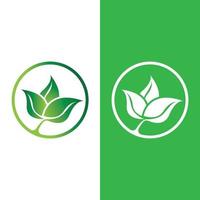 logotipos da ecologia de folhas verdes vetor