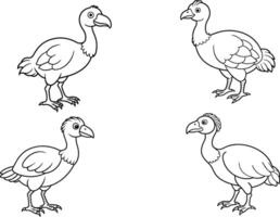 dodo ícone ilustração linha arte vetor