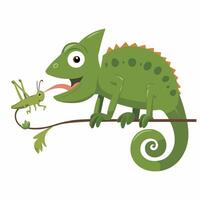 fofa verde lagarto desenho animado ilustração vetor