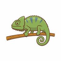 fofa verde lagarto desenho animado ilustração vetor