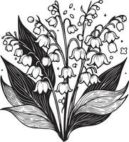 botânico lírio do a vale ilustração lírio do a vale flor e folha desenhando ilustração com linha arte em branco fundos, vetor