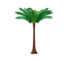 desenho animado selva floresta tropical Palma árvore tropical plantar vetor