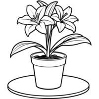 amaryllis flor esboço ilustração coloração livro página projeto, amaryllis flor Preto e branco linha arte desenhando coloração livro Páginas para crianças e adultos vetor