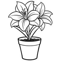 amaryllis flor esboço ilustração coloração livro página projeto, amaryllis flor Preto e branco linha arte desenhando coloração livro Páginas para crianças e adultos vetor