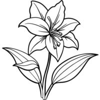 amaryllis flor esboço ilustração coloração livro página projeto, amaryllis flor Preto e branco linha arte desenhando coloração livro Páginas para crianças e adultos vetor