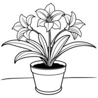 amaryllis flor esboço ilustração coloração livro página projeto, amaryllis flor Preto e branco linha arte desenhando coloração livro Páginas para crianças e adultos vetor