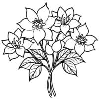 columbine flor esboço ilustração coloração livro página projeto, columbine flor Preto e branco linha arte desenhando coloração livro Páginas para crianças e adultos vetor