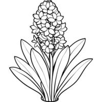 jacinto flor esboço ilustração coloração livro página projeto, jacinto flor Preto e branco linha arte desenhando coloração livro Páginas para crianças e adultos vetor