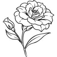 lisianthus flor esboço ilustração coloração livro página projeto, lisianthus flor Preto e branco linha arte desenhando coloração livro Páginas para crianças e adultos vetor