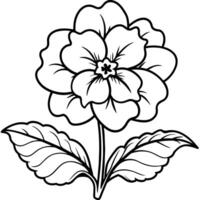 prímula flor esboço ilustração coloração livro página Projeto vetor
