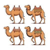 camelo dos desenhos animados isolado no fundo branco vetor