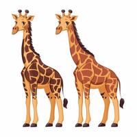 fofa girafa animal isolado plano ilustração branco fundo vetor
