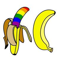 conjunto do bananas pintado dentro dentro todos a cores do a arco-íris. Individual frutas com esboço e cor. a aberto e fechadas banana dentro diferente poses. a lgbt símbolo. adequado para local na rede Internet, embalagem vetor