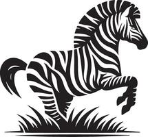 ilustração do zebra vetor