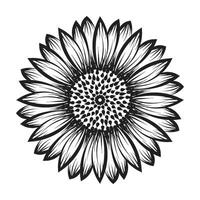 mão desenhado floral desenhando ilustração. floral linha arte para impressão ou usar Como tatuagem, cartão, poster, folheto ou t camisa vetor