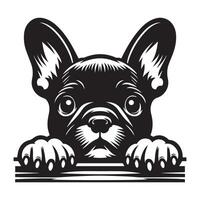 cachorro espreitar - francês buldogue cachorro espreitar face ilustração dentro Preto e branco vetor