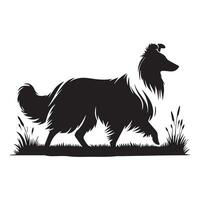 Shetland cão de guarda - uma Sheltie caminhando em a Relva ilustração dentro Preto e branco vetor