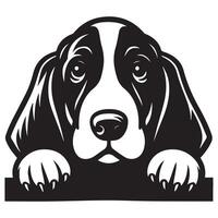 cachorro espreitar - basset cão de caça cachorro espreitar face ilustração dentro Preto e branco vetor