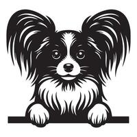 cachorro espreitar - papillon cachorro espreitar face ilustração dentro Preto e branco vetor