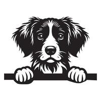 cachorro espreitar - Bretanha spaniel cachorro espreitar face ilustração dentro Preto e branco vetor