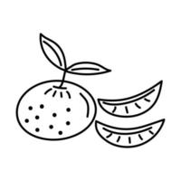 tangerina com fatias em estilo doodle. vetor