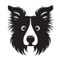 Shetland cão de guarda - uma temeroso Sheltie cachorro face ilustração dentro Preto e branco vetor