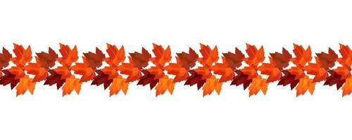 fronteira de ramos de bordo de outono. borda do vetor para designs de outono aconchegantes, cafés, menus, anúncios em banner