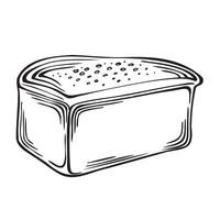 pão pão ilustração isolado, linear estilo. padaria bens. mão desenhado esboço fresco branco trigo pão símbolo. modelo nutrição produtos para cardápio, mostruário, invólucro, rótulo, local na rede Internet, bistro. vetor