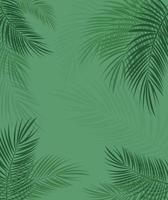 lindo fundo de folha de palmeira. ilustração vetorial vetor
