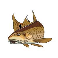 peixe vermelho pescaria ilustração logotipo imagem t camisa vetor