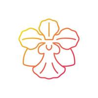 ícone de vetor linear gradiente vanda miss joaquim. flor nacional de Singapura. híbrido de planta. orquídea de Singapura. símbolo de cor de linha fina. pictograma de estilo moderno. desenho de contorno isolado de vetor