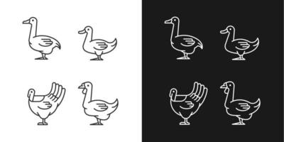 ícones lineares de aves aquáticas definidos para o modo escuro e claro. patos e gansos criando. crescimento de peru. pecuária. símbolos personalizáveis de linha fina. ilustrações isoladas de contorno vetorial. curso editável vetor