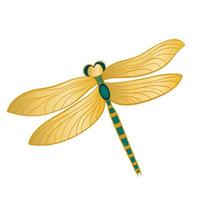 libélula com objeto isolado de asas douradas vetor