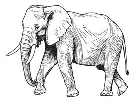 elefante caminhando mão desenhado esboço ilustração vetor