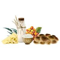 aguarela shavuot composição para cumprimento cartão. feriado ilustração do chalé queijo, trigo, leite, Challah, uvas vetor