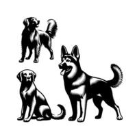 coleção do cachorro esboço ilustrações isolado em branco fundo vetor